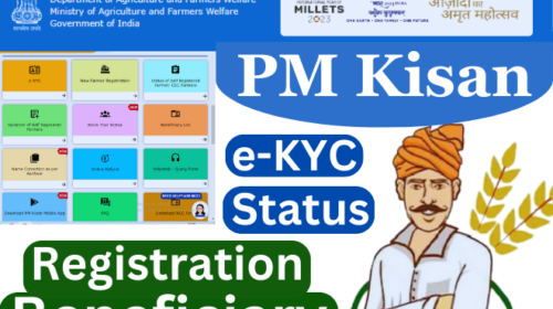 pm-kisan-status